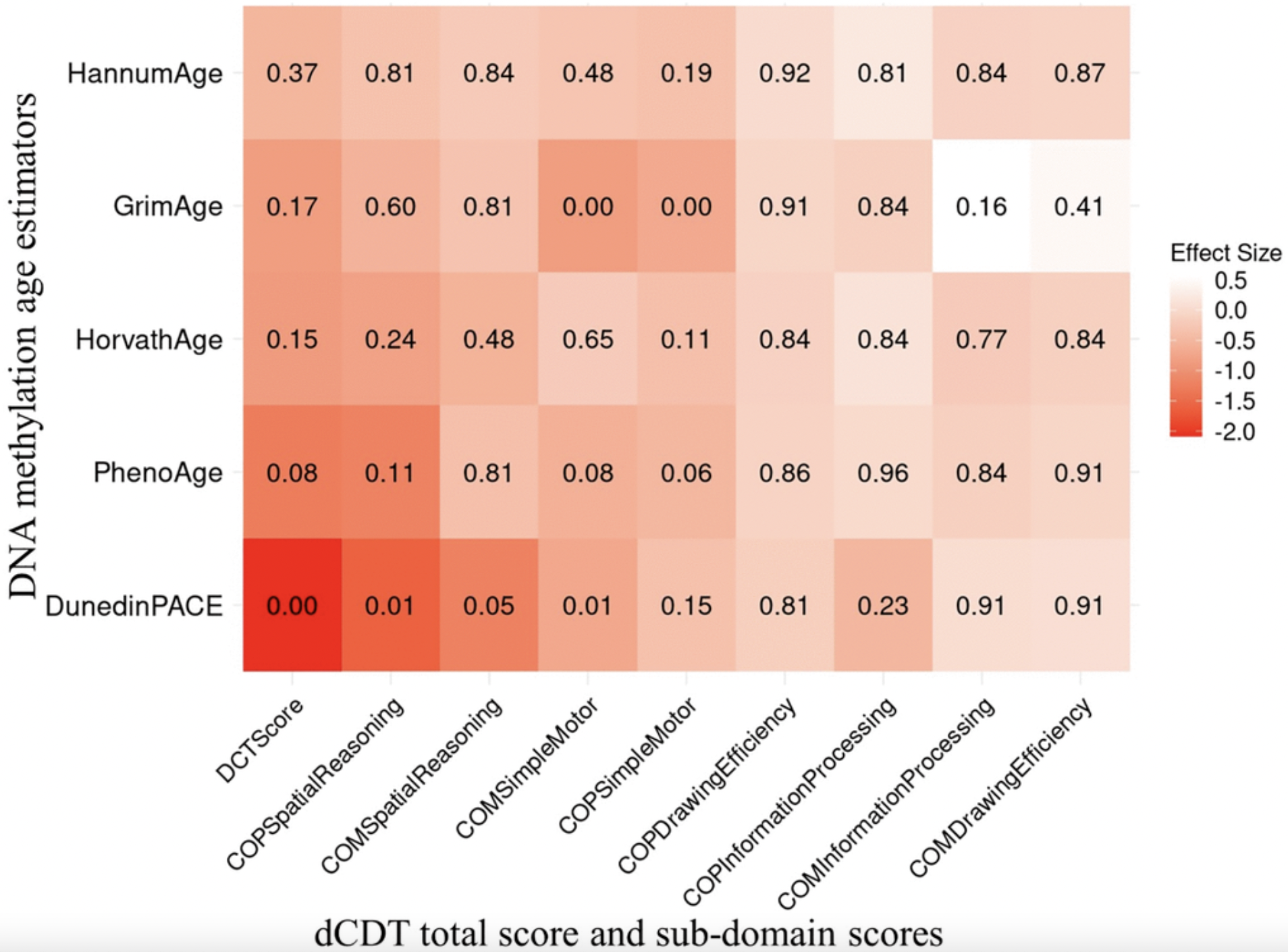 Faster Biological Aging Linked to Cognitive Decline in Older Adults