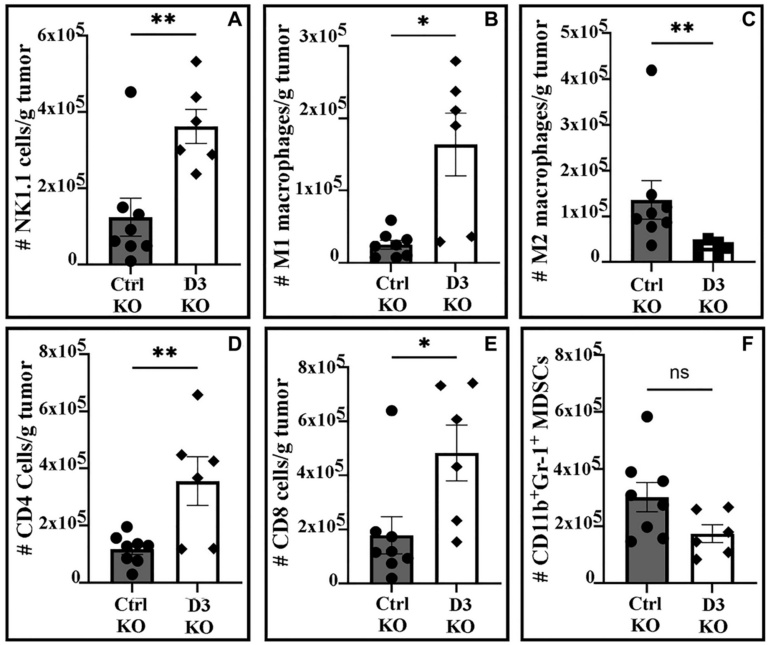 Protein Linked to Melanoma Growth May Suppress the Body’s Natural Anti-Tumor Immune Response